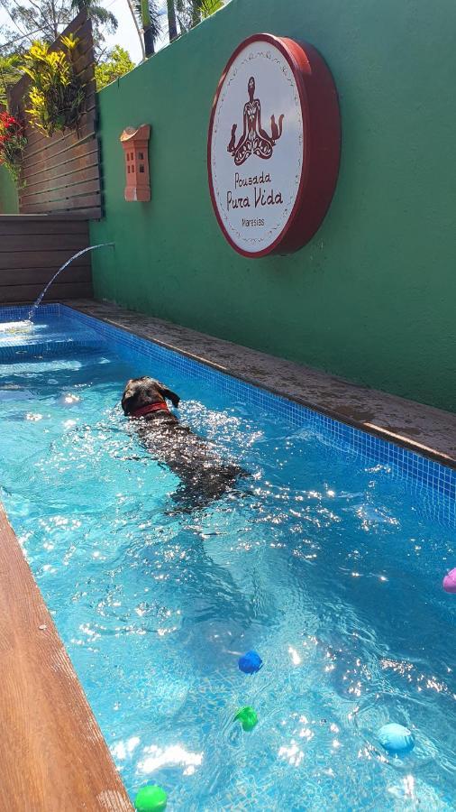 Pura Vida Inn